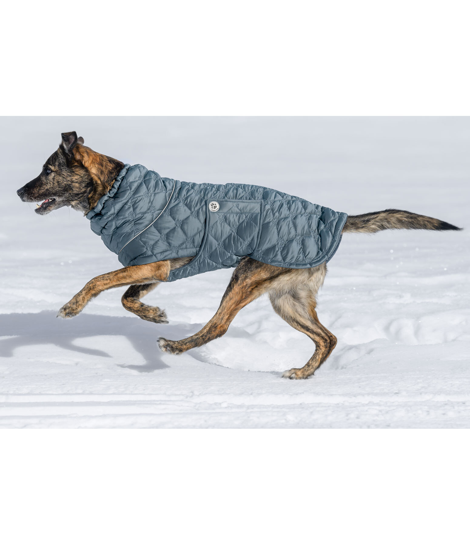 Lightweight Hunde-Steppjacke Cliff mit Fleecelining, 200 g