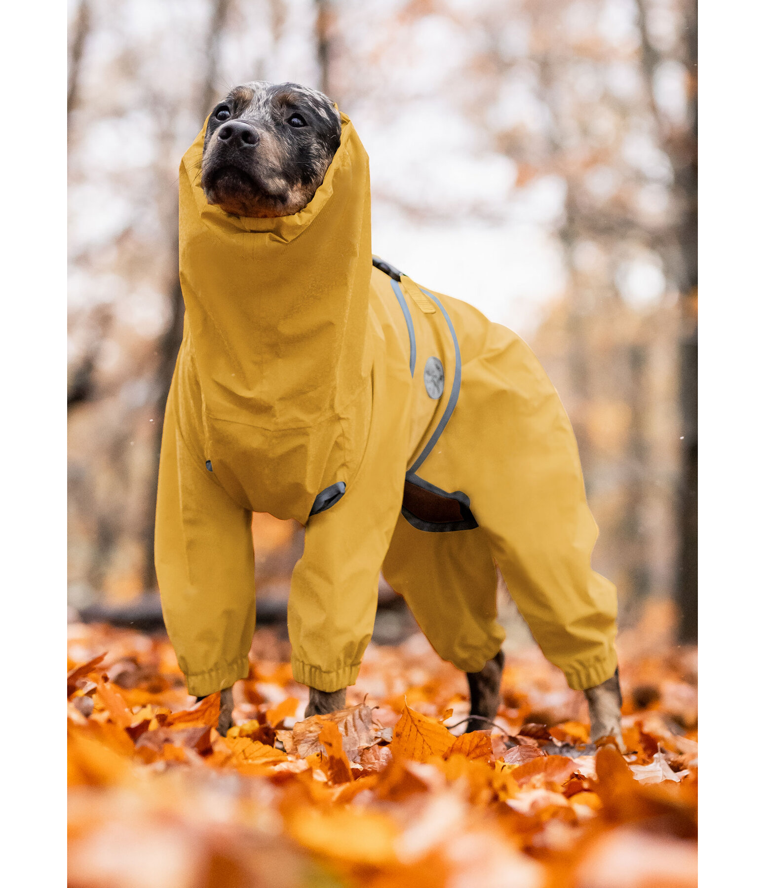 Allover-Hunde-Regenjacke Sequoia II, 0 g