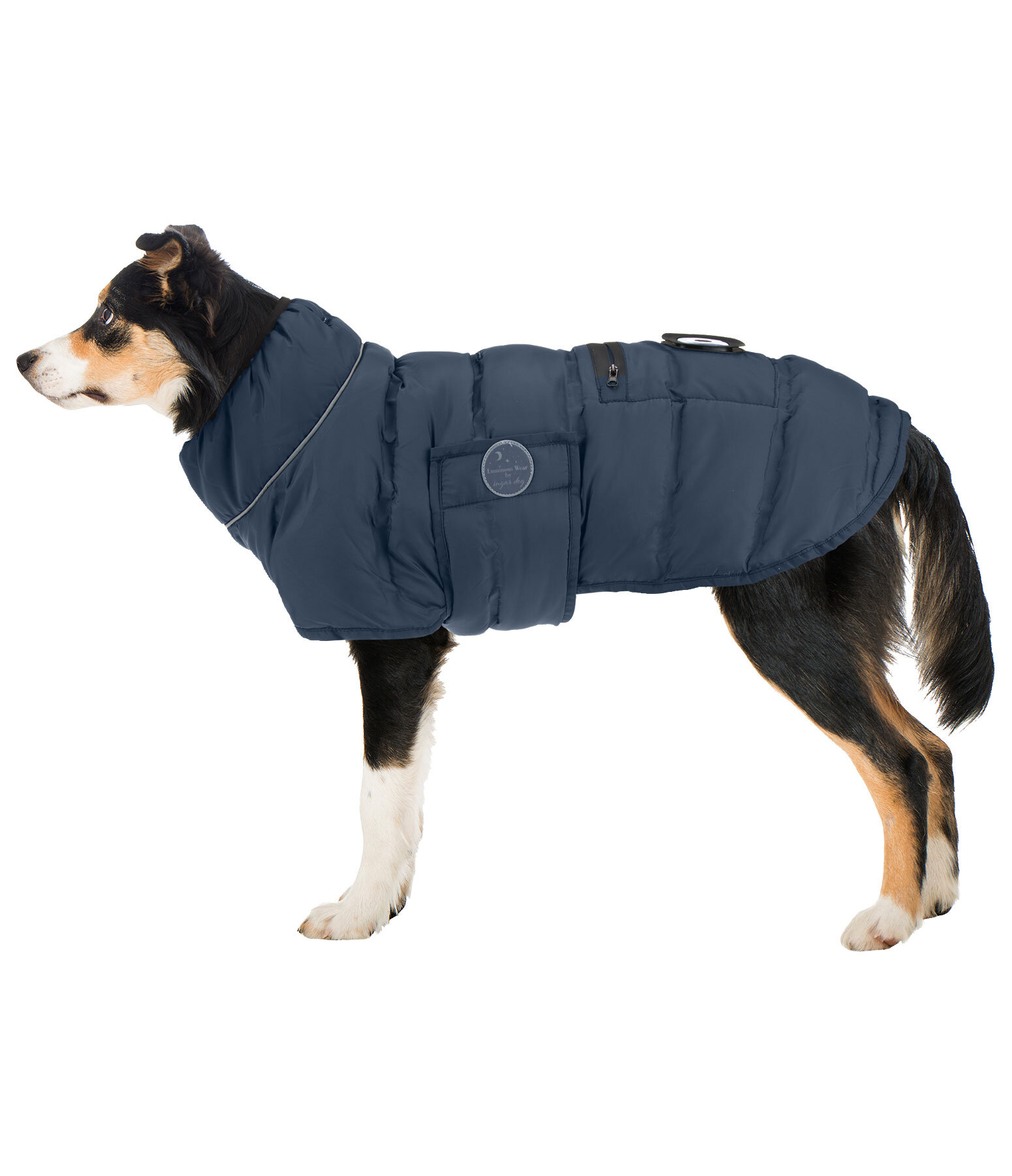 LED-Hunde-Steppjacke Arlo, 300 g