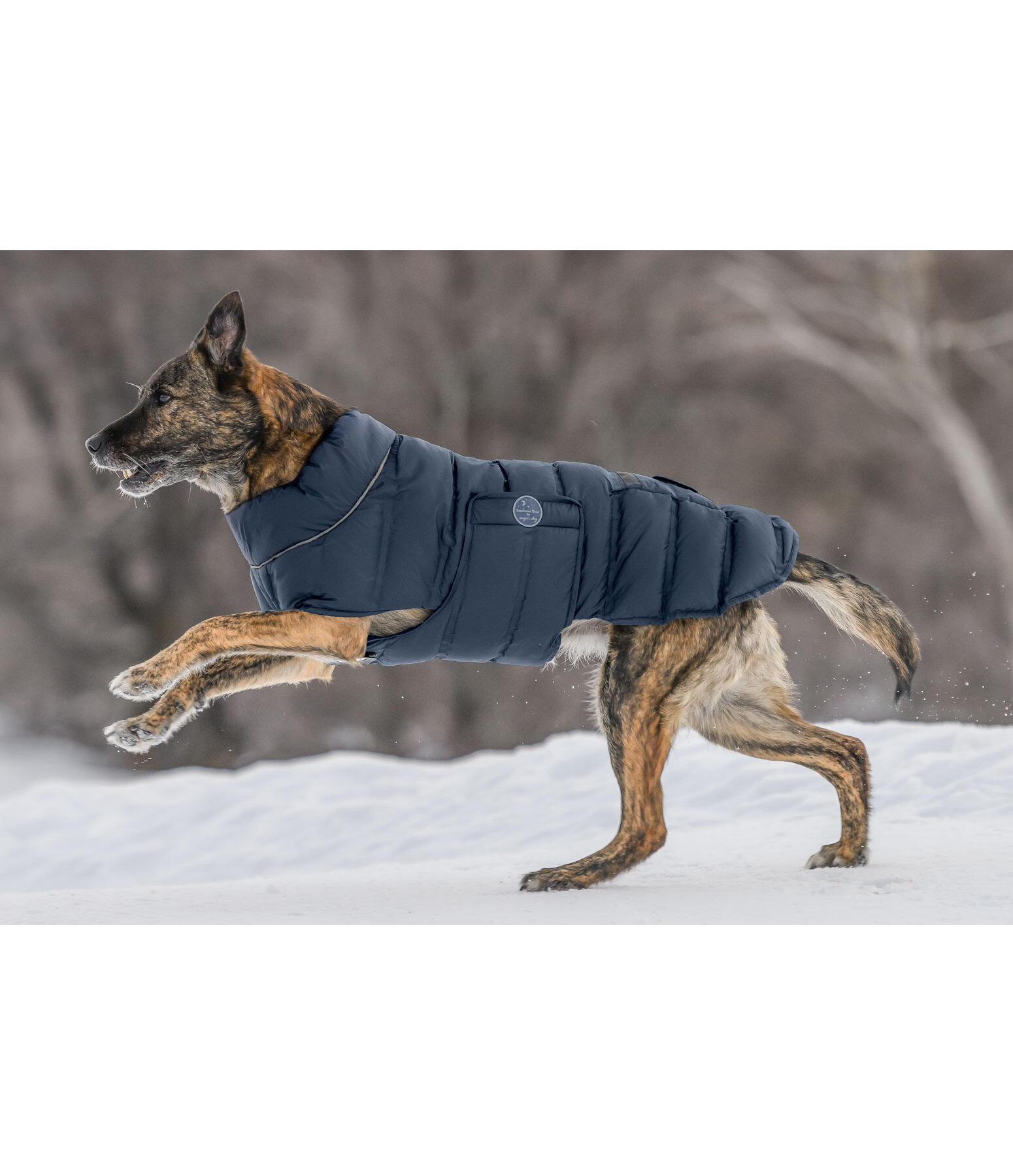 LED-Hunde-Steppjacke Arlo, 300 g