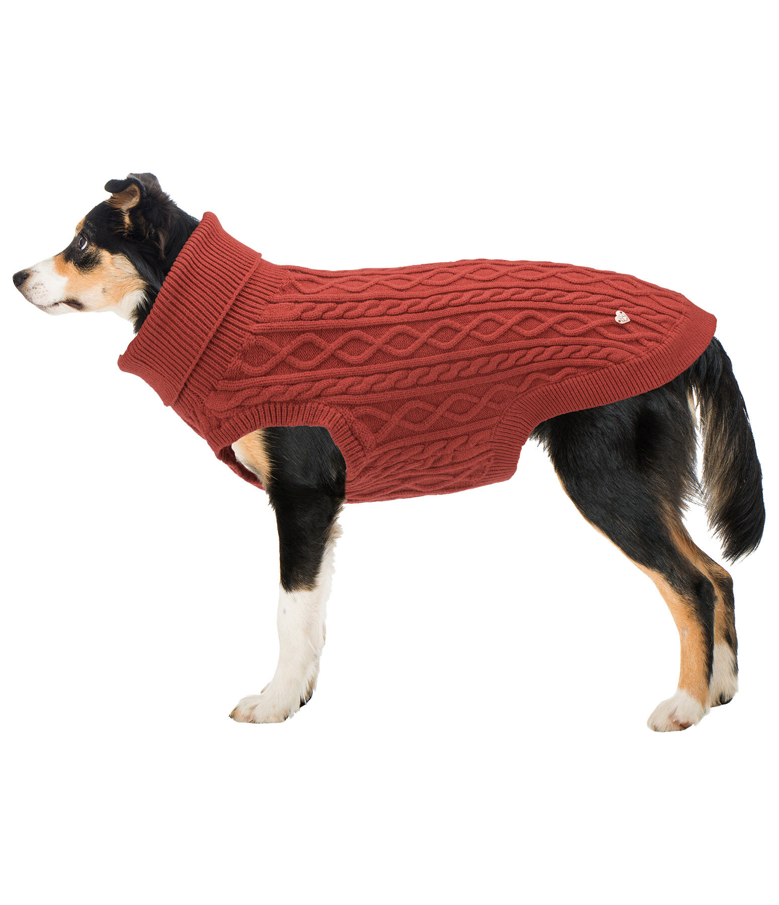 Hunde-Rollkragenpullover Maisie