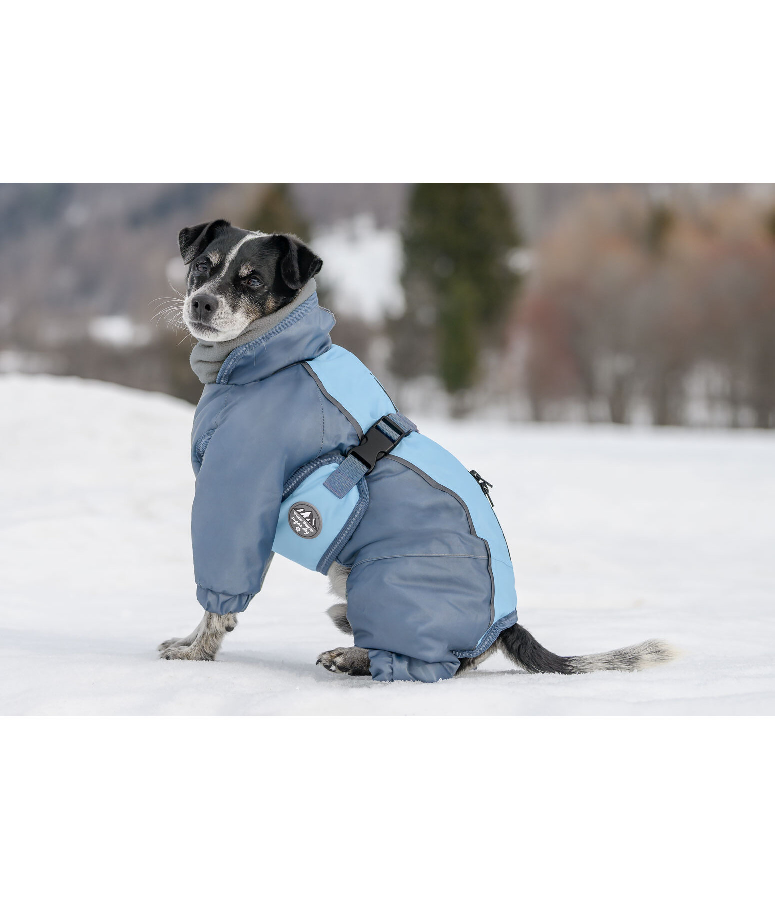 Schnee-Overall Mount Whistler fr Hunde, 120 g