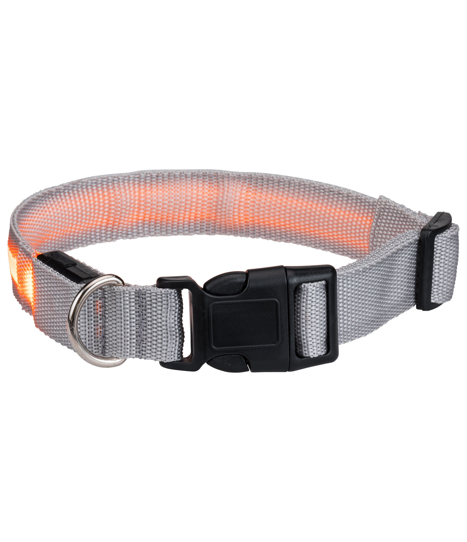 LED-Hundehalsband Loom