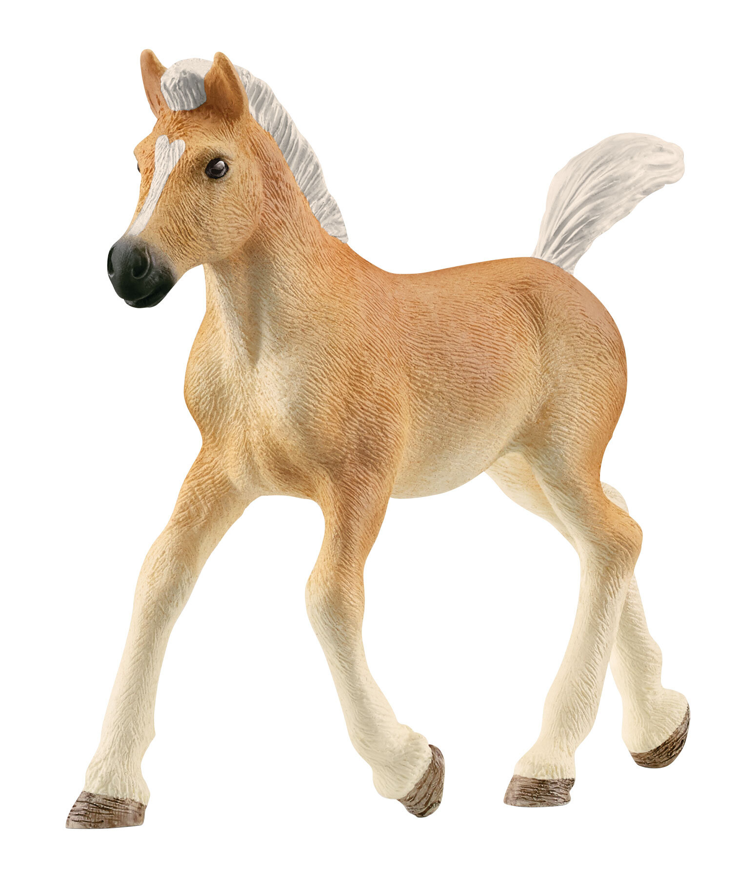 Haflinger Fohlen