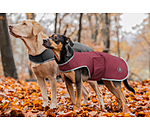 Softshell-Hundewalker Athlete, 0 g