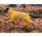 Allover-Hunde-Regenjacke Sequoia II, 0 g