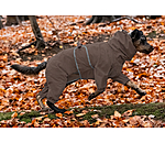 Allover-Hunde-Regenjacke Sequoia II, 0 g
