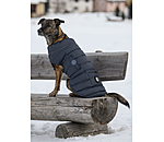 LED-Hunde-Steppjacke Arlo, 300 g