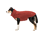 Hunde-Rollkragenpullover Maisie