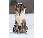 Sherpa-Hunde-Hoodie Sawyer