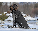 Softshell-Hundemantel Cruz mit integriertem Geschirr, 160 g