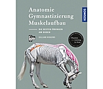 Anatomie, Gymnastizierung, Muskelaufbau