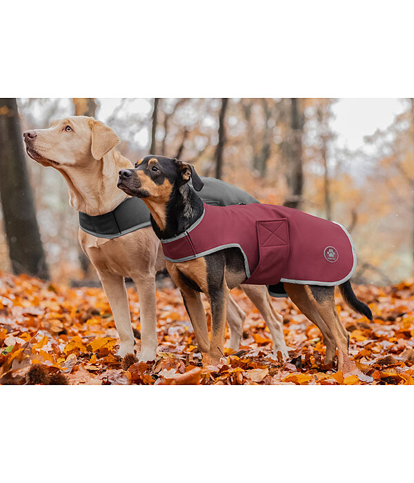 Softshell-Hundewalker Athlete, 0 g