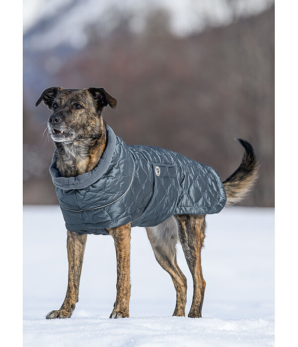 Lightweight Hunde-Steppjacke Cliff mit Fleecelining, 200 g