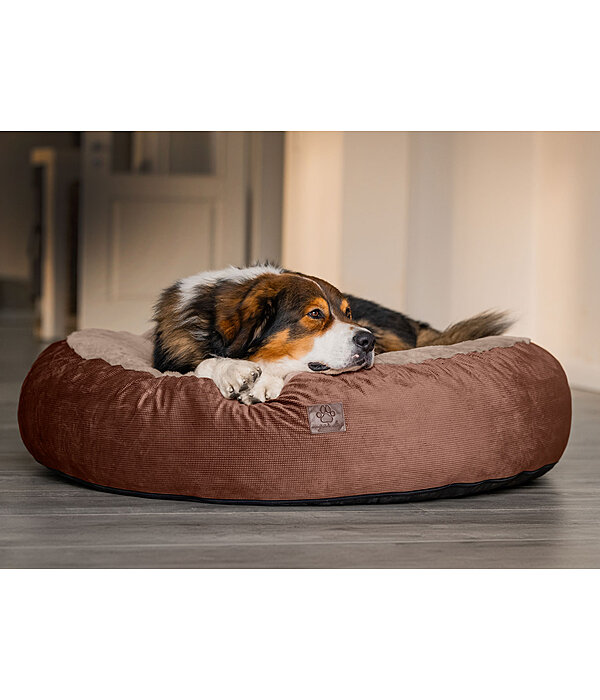 Memory Foam Hundebett Quincy