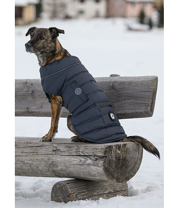 LED-Hunde-Steppjacke Arlo, 300 g