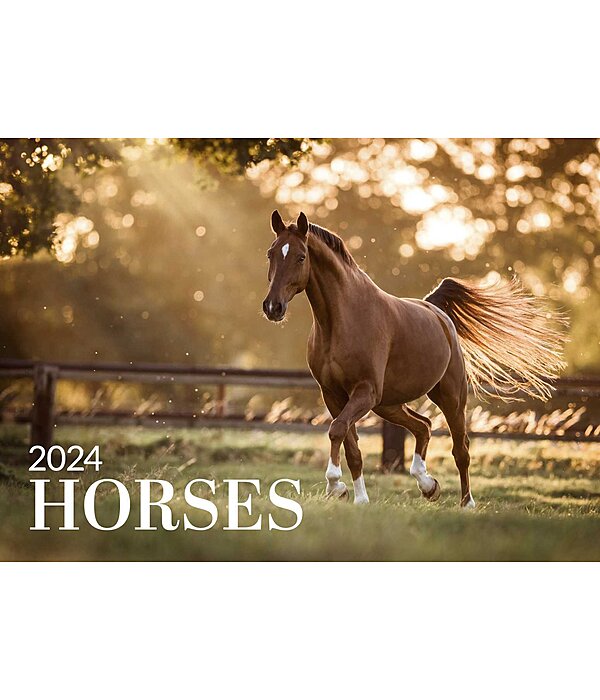 Horses Kalender 2025