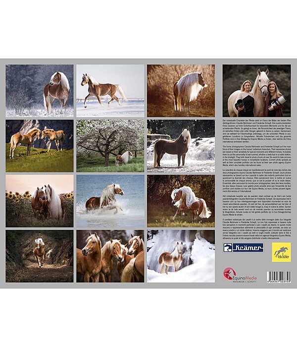 Haflinger Kalender 2025