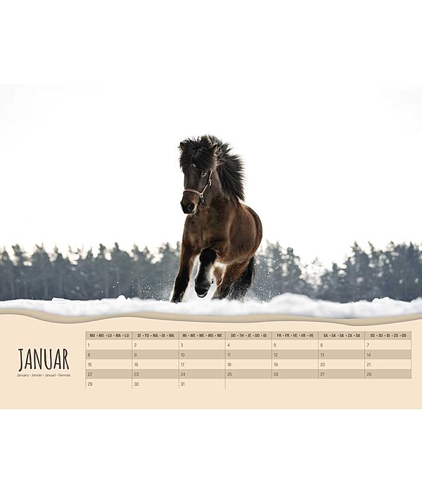 Pony Kalender 2025