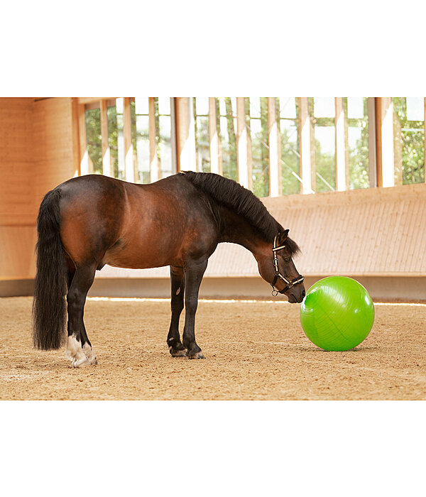 Groer Pferdespielball